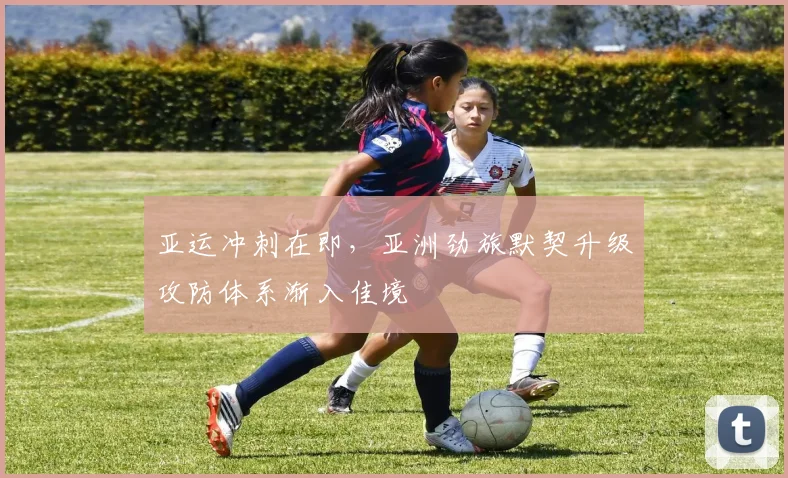 亚运冲刺在即，亚洲劲旅默契升级攻防体系渐入佳境
