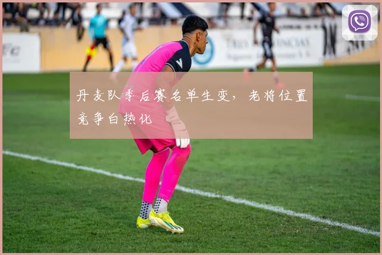 丹麦队季后赛名单生变，老将位置竞争白热化