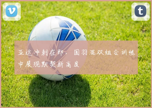 亚运冲刺在即，国羽混双组合训练中展现默契新高度