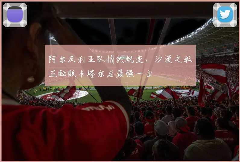 阿尔及利亚队悄然蜕变，沙漠之狐正酝酿卡塔尔后最强一击