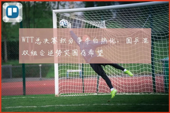 WTT总决赛积分争夺白热化，国乒混双组合逆势突围存希望